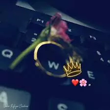 w name dp